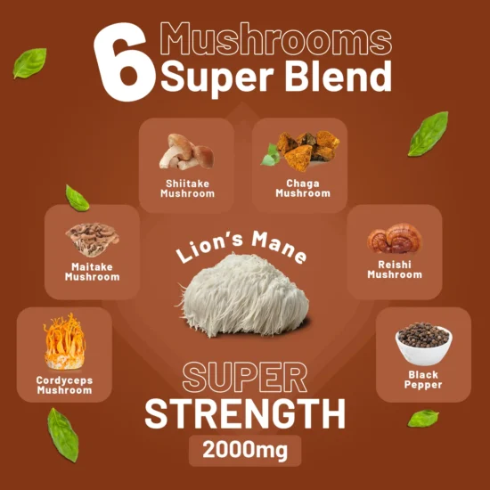 Advanced Mushroom Complex | A super blend of 6 Mushroom with Lions Mane, Chaga, Cordyceps, Shiitake, Reishi and Maitake | 60 Vegan High Strength Capsules | Made in UK - Image 7