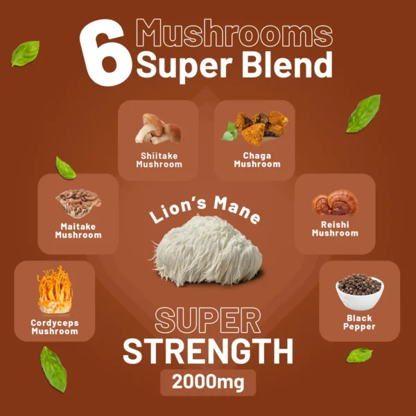 Advanced Mushroom Complex | A super blend of 6 Mushroom with Lions Mane, Chaga, Cordyceps, Shiitake, Reishi and Maitake | 60 Vegan High Strength Capsules | Made in UK - Image 3